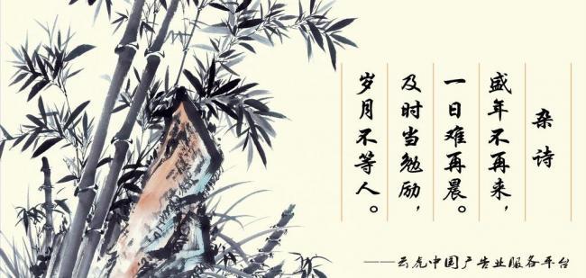 辦公室風(fēng)水?dāng)[件，助你事業(yè)風(fēng)生水起